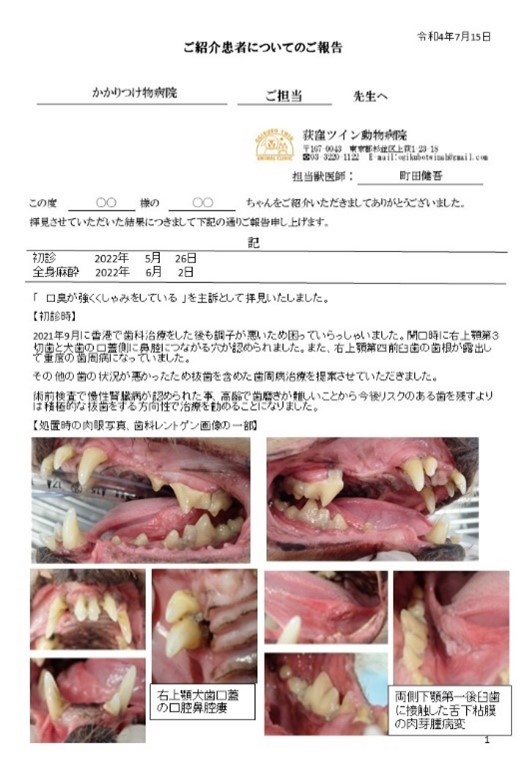 かかりつけ動物病院との連携も可能01