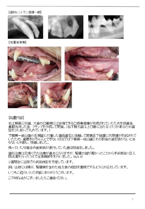 かかりつけ動物病院との連携も可能02