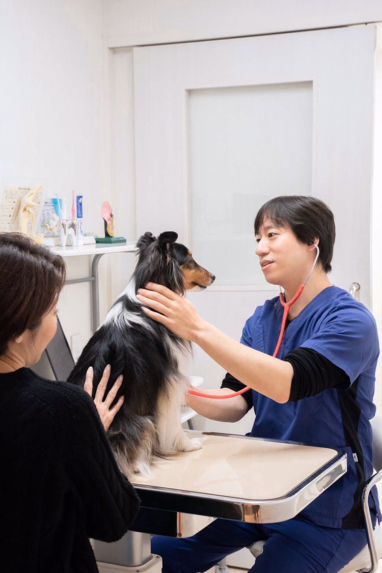 杉並区の荻窪ツイン動物病院　画像1